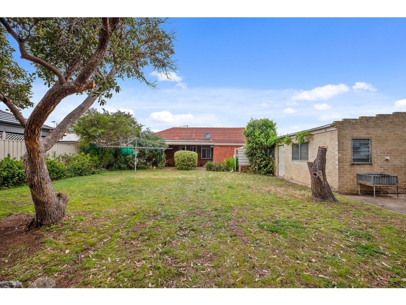 24 Alfred Avenue, Seaton SA 5023