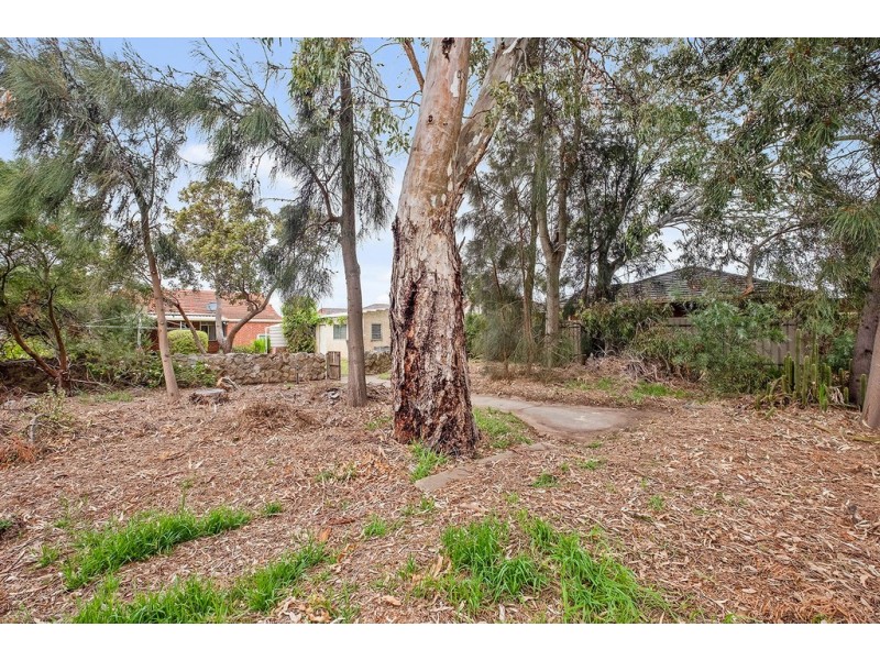 24 Alfred Avenue, Seaton SA 5023