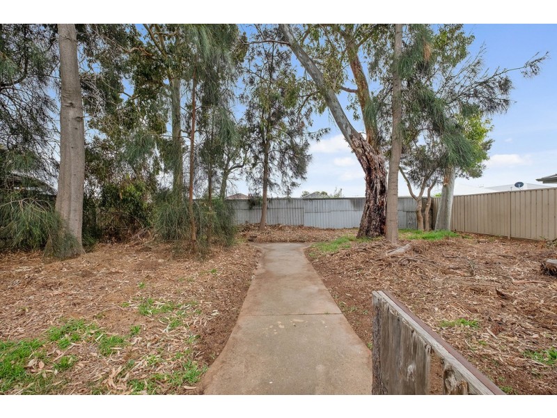 24 Alfred Avenue, Seaton SA 5023