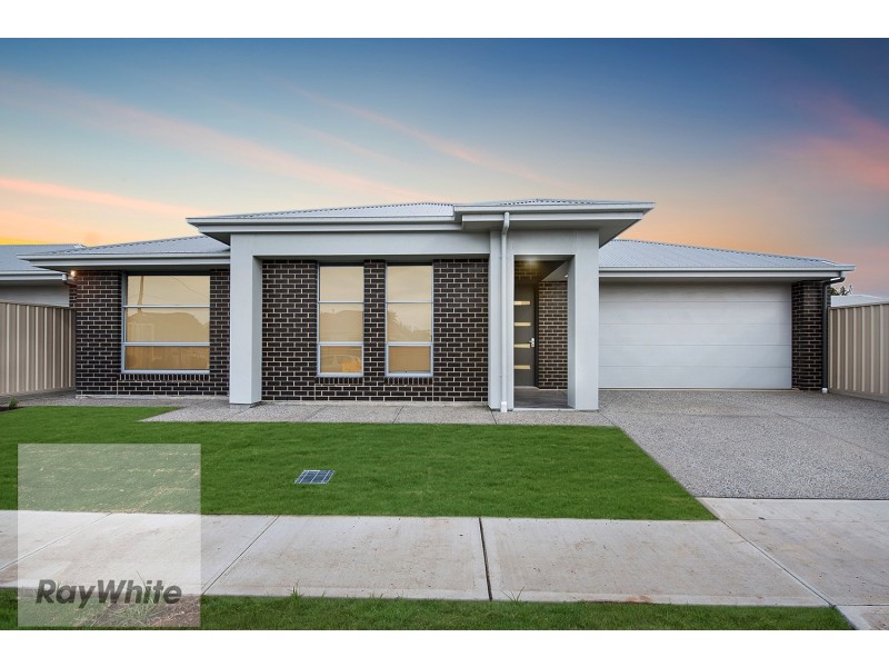 45D Seaton Terrace, Seaton SA 5023