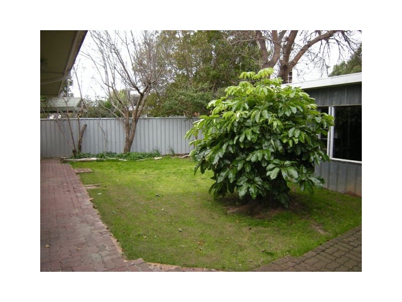 2 Jasmine Grove, Fulham Gardens SA 5024