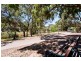 31 Westall Avenue, Flinders Park SA 5025