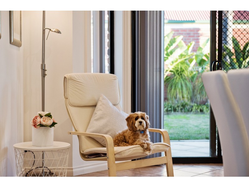 34 McCole Circuit, Allenby Gardens SA 5009