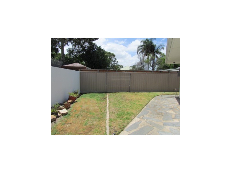 6 Douglas Street, Lockleys SA 5032