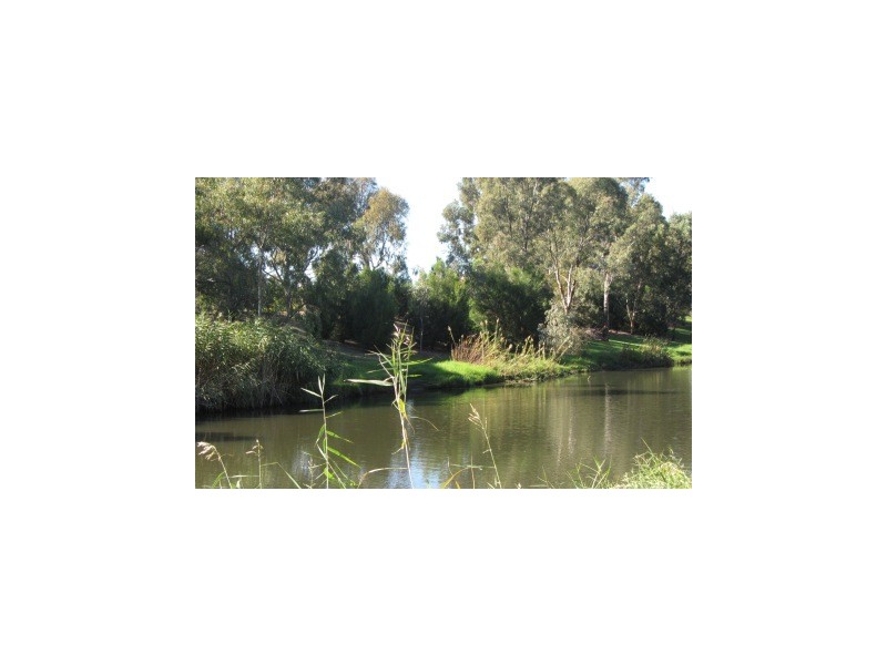 2 Joseph Avenue, Fulham Gardens SA 5024