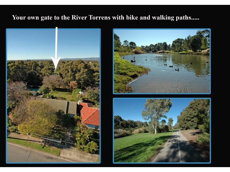 20 Samuel Street, Fulham SA 5024