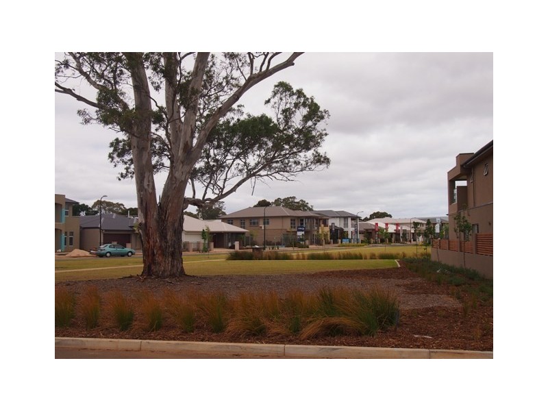 15 Carbone Terrace, Woodville SA 5011