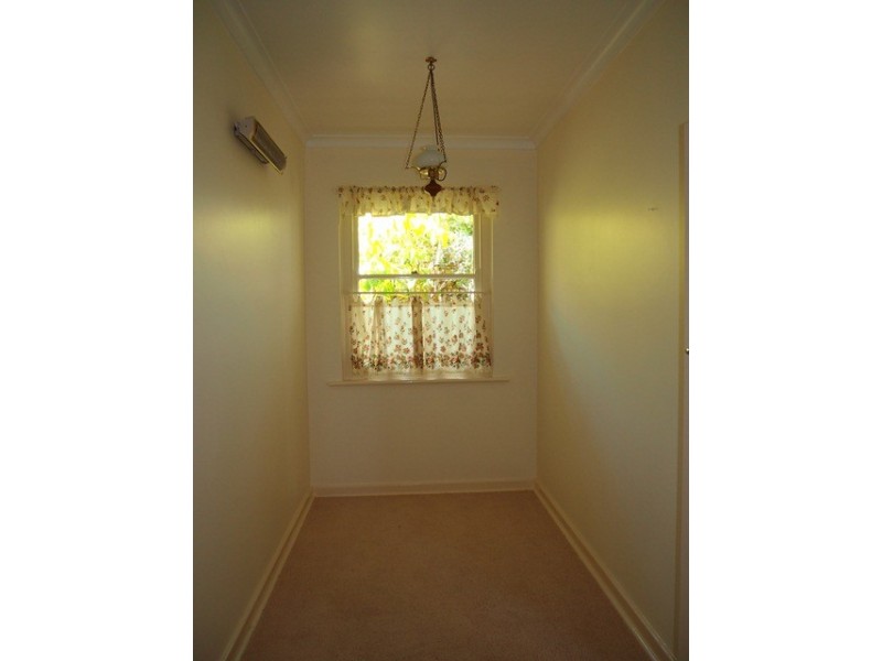 3 Rayne Avenue, Linden Park SA 5065