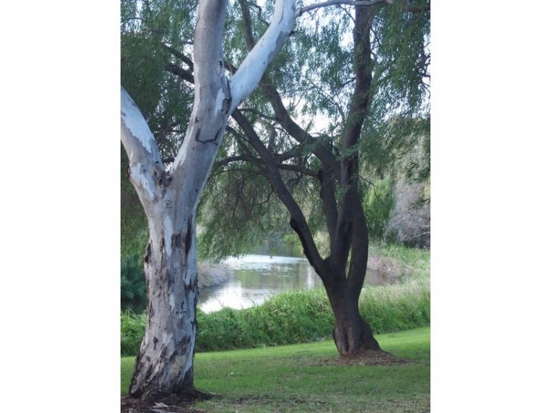 6 Keats Grove, Fulham Gardens SA 5024