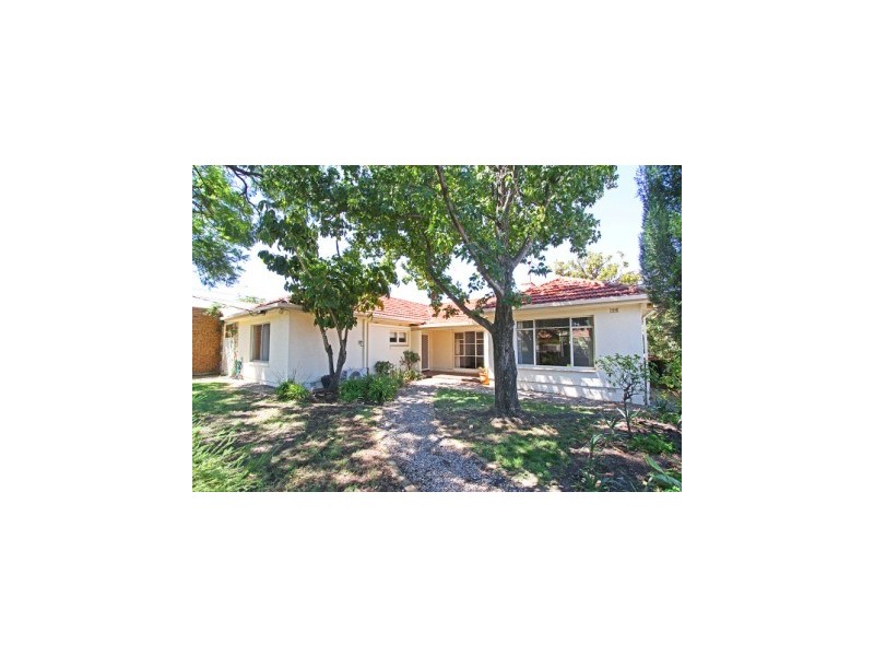 38 Douglas Street, Lockleys SA 5032