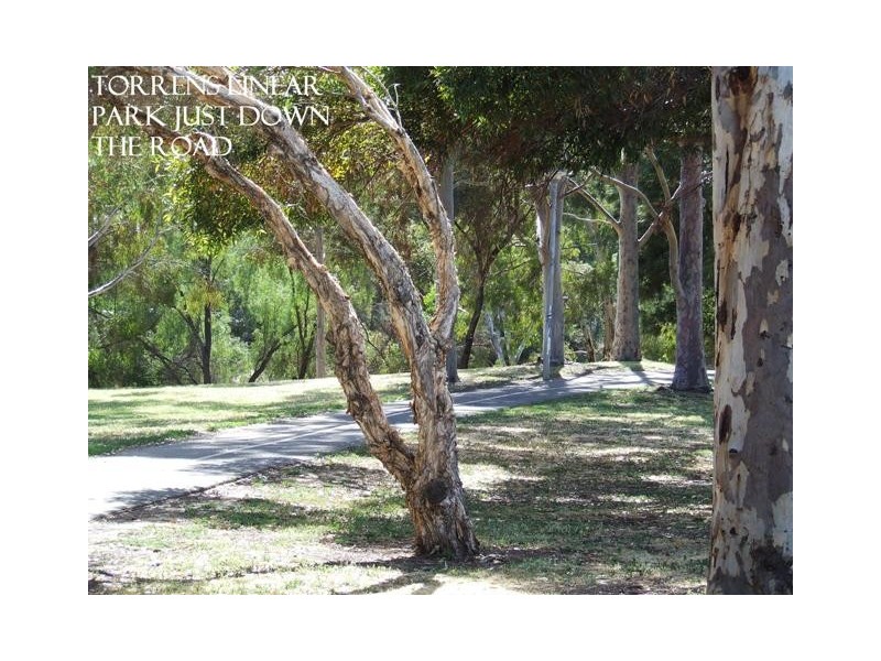 1 Matt Street, Lockleys SA 5032