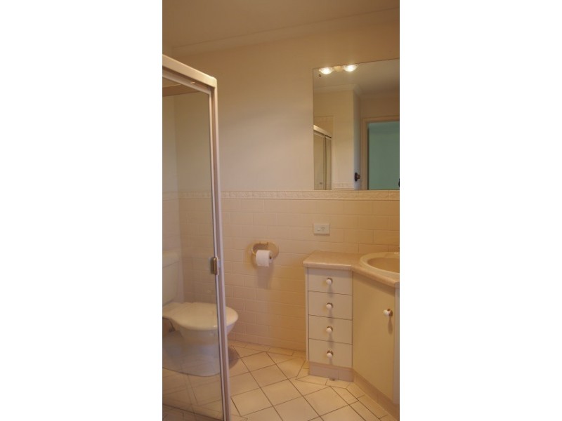 8 Mercedes Avenue, Croydon Park SA 5008