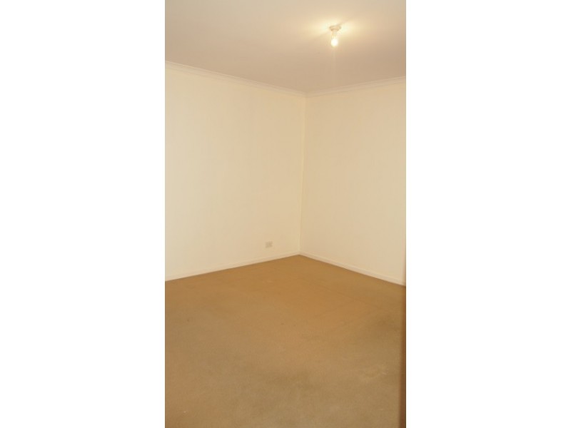 8 Mercedes Avenue, Croydon Park SA 5008