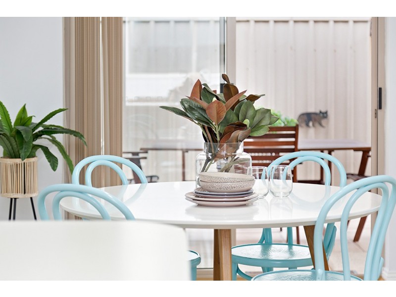 19 Packard Street, North Plympton SA 5037