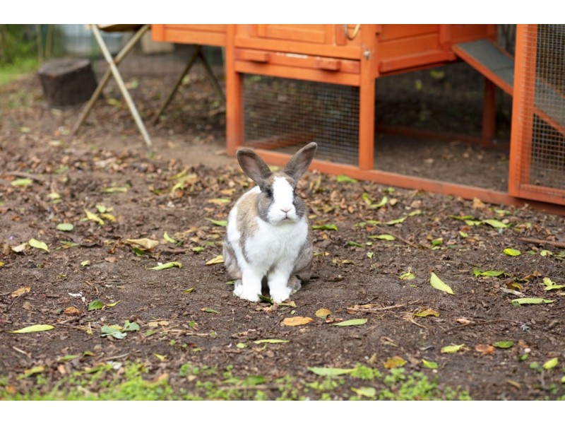 647 Grange Road, Grange SA 5022