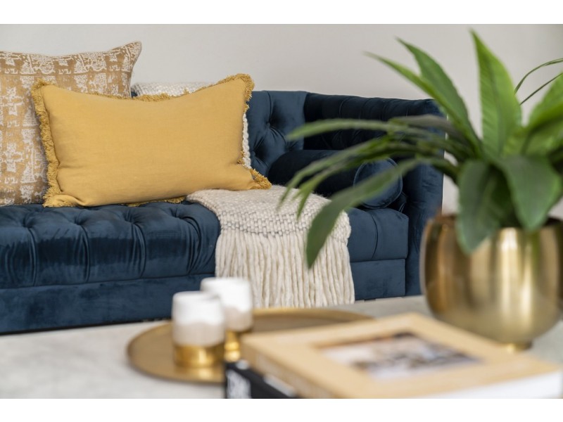 11 Azalea Street, Prospect SA 5082