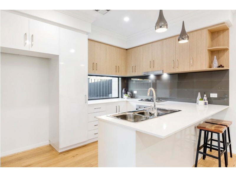 31 Hawker Avenue, Plympton Park SA 5038