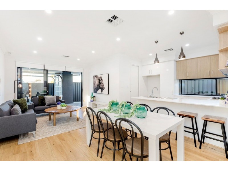 31 Hawker Avenue, Plympton Park SA 5038