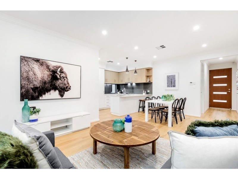 31 Hawker Avenue, Plympton Park SA 5038