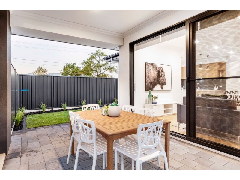 31 Hawker Avenue, Plympton Park SA 5038