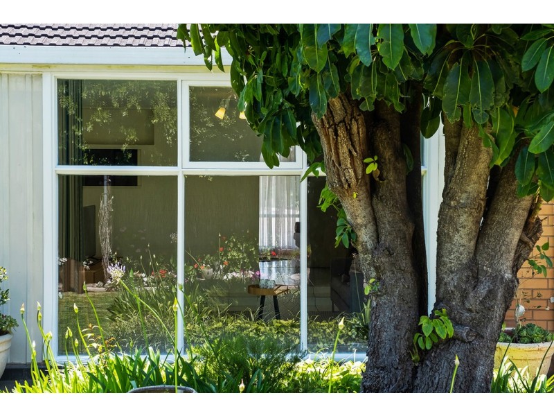 8 Beltana Street, Flinders Park SA 5025