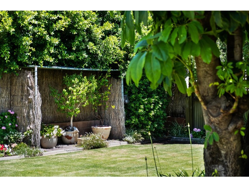 8 Beltana Street, Flinders Park SA 5025