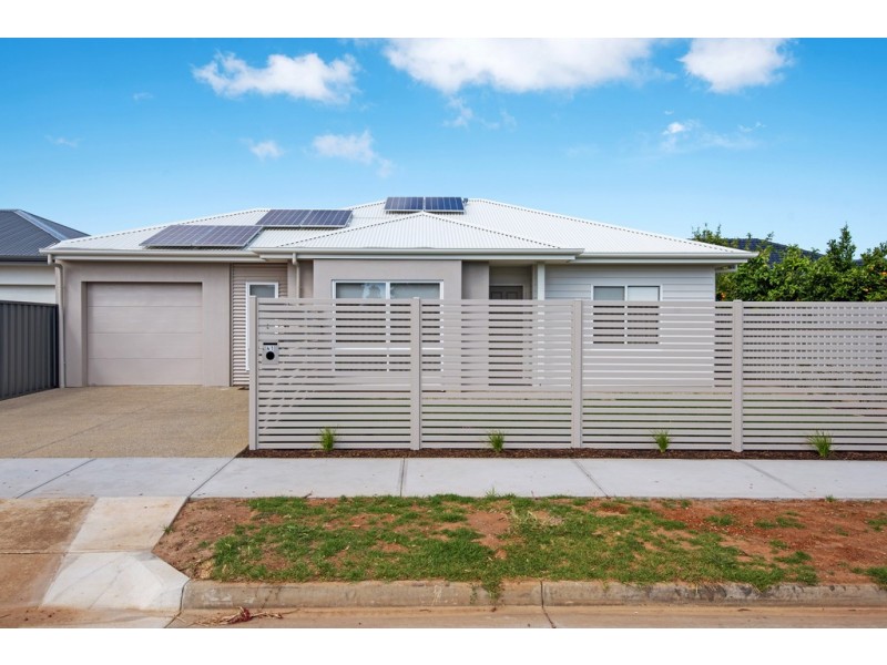 41 Franklin Avenue, Flinders Park SA 5025