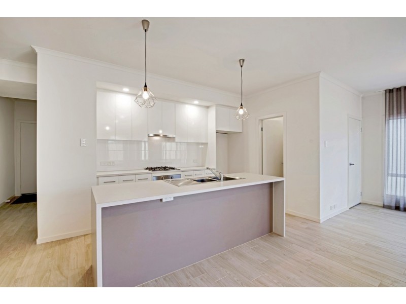 41 Franklin Avenue, Flinders Park SA 5025