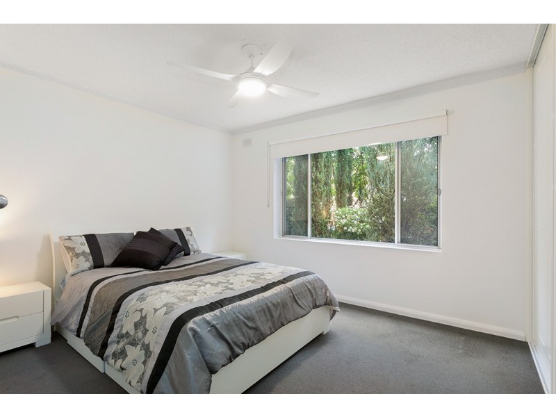 3/123 Buxton Street, North Adelaide SA 5006