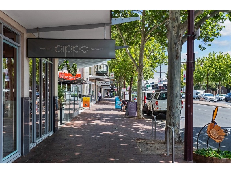 3/123 Buxton Street, North Adelaide SA 5006