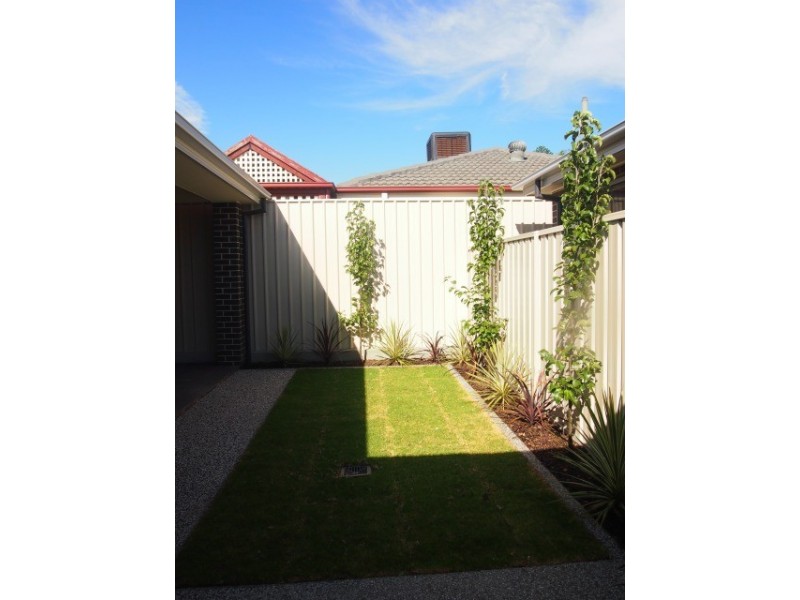 1B Barwick Street, Flinders Park SA 5025