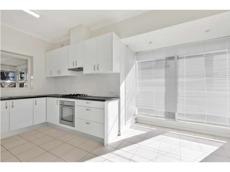6 Douglas Street, Lockleys SA 5032