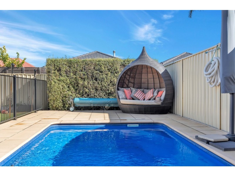 8A Gould Street, Flinders Park SA 5025