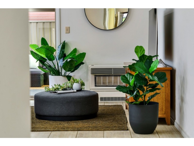 2 Hallett Boulevard, Allenby Gardens SA 5009