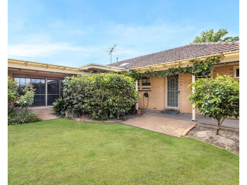 12 Beltana Street, Flinders Park SA 5025