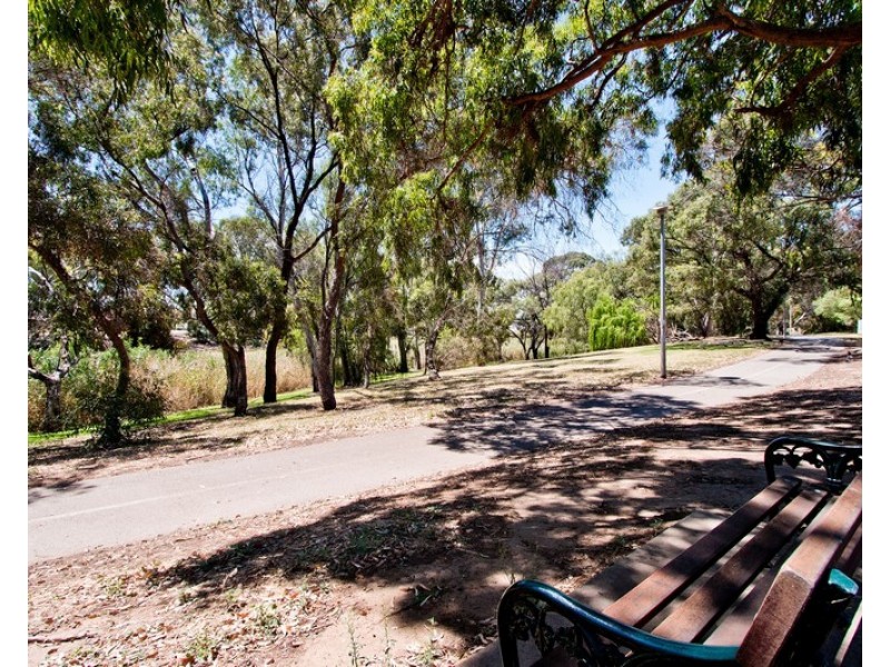 15 Ron Wait Court, Lockleys SA 5032