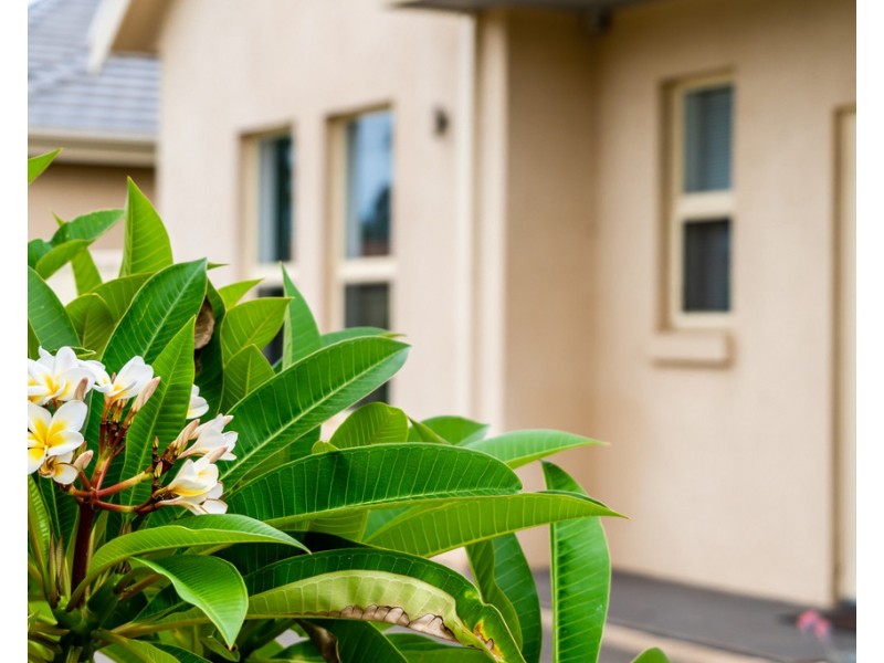 2/74 Charles Sturt Avenue, Grange SA 5022