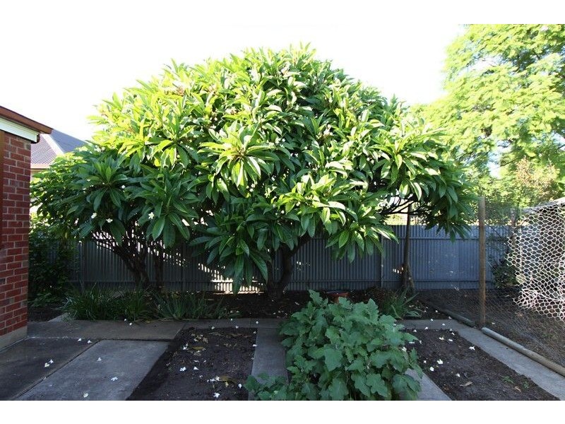 6 Kopurlo Avenue, Brooklyn Park SA 5032