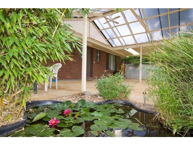 14 Township Road, Marion SA 5043