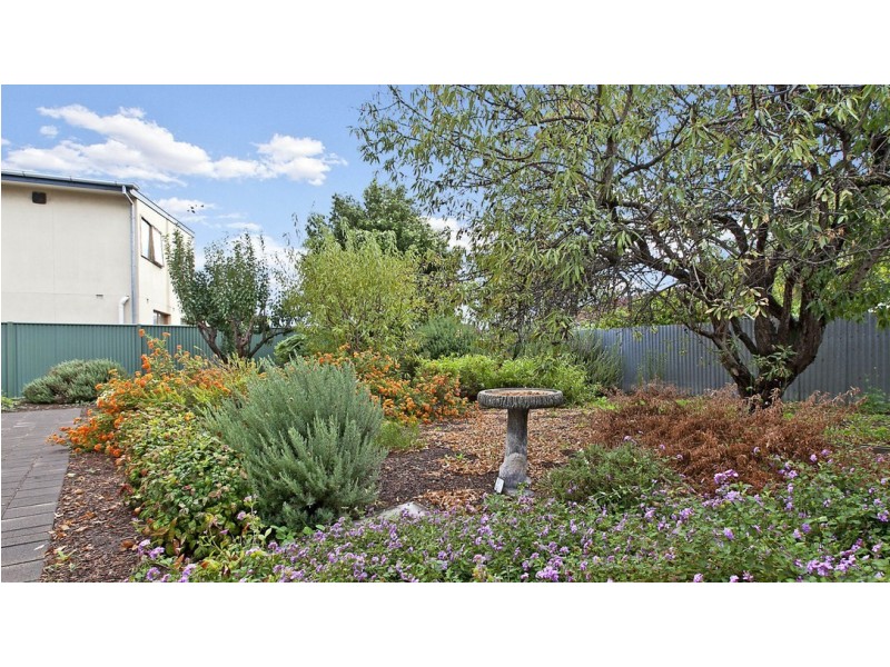 4 Moresby Street, Lockleys SA 5032