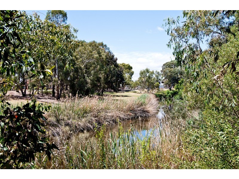 10 Veronica Crescent, Lockleys SA 5032