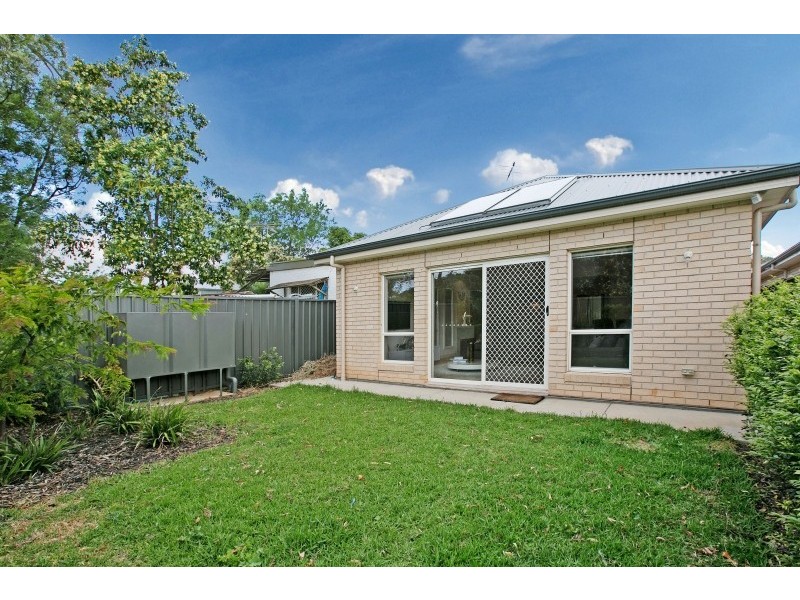 109B Reid Avenue, Hectorville SA 5073