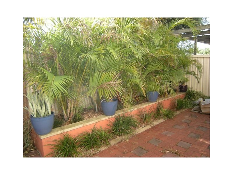 2/9A Clark Terrace, Seaton SA 5023