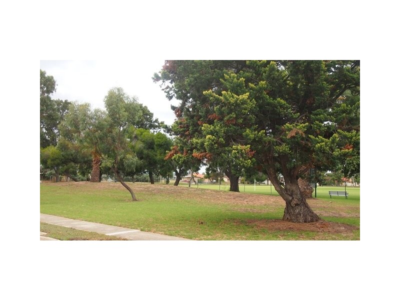 17 Dumfries Avenue, Seaton SA 5023