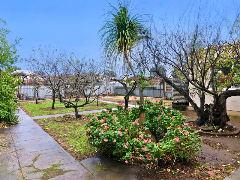 1 Richard Street, Findon SA 5023