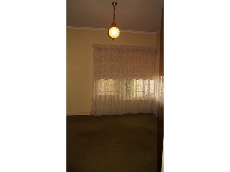 51 Clyde Avenue, Lockleys SA 5032