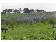 Lot 262 Branson Road, Tatachilla SA 5171