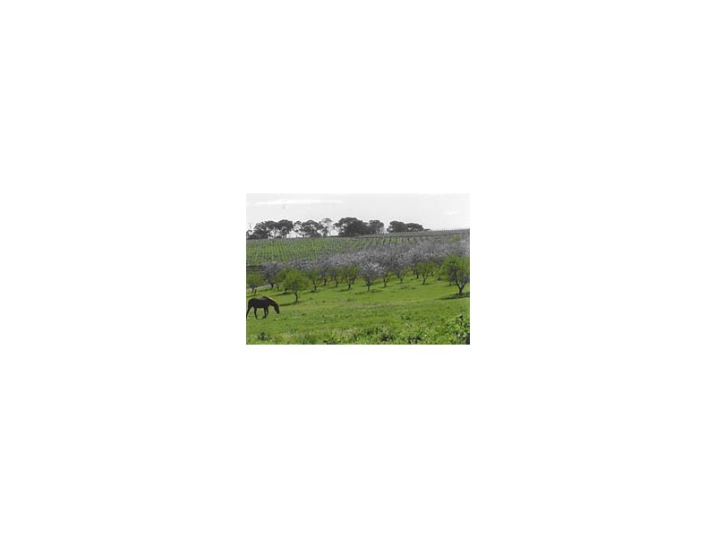 Lot 262 Branson Road, Tatachilla SA 5171
