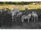Lot 262 Branson Road, Tatachilla SA 5171