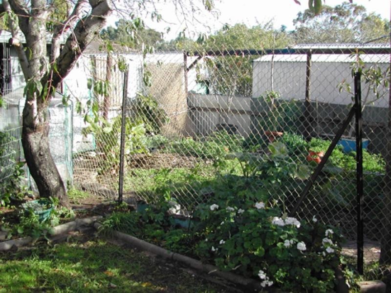 6 Bower Court, Morphett Vale SA 5162